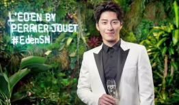 窦骁何超莲吃瓜娱乐圈,娱乐圈瓜田再起波澜